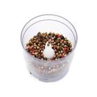 061283111265 Salton Coffee Spice Herb