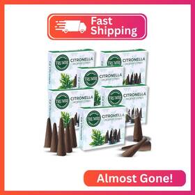 Goldberry Llc 810121334157 Citronella Incense - Pack Of 60 Cones 6 Packs 10 Scented