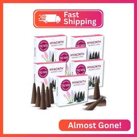 Goldberry Llc 810121334317 Hyacinth - Total 60 Cone Incense Packs Of 10 6 Scented