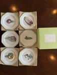 Williams Sonoma Vegetable Plates Set Of 6 For Appetizers/bread & Butter With Box. Fixed Price $45.00.