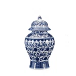 Chinese Decorative Ceramic Ginger Jar Traditional Blue And White Porcelain Te.... Fixed Price $97.02.